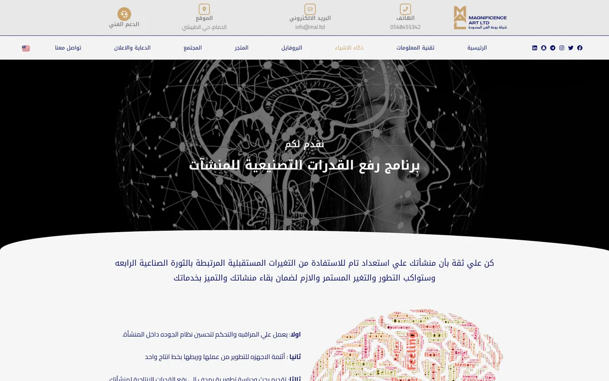 Magnificence Art capability programme page